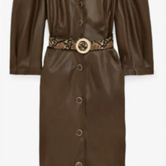 Zara Chocolate Brown Faux Leather Dress - Picture 2 of 3
